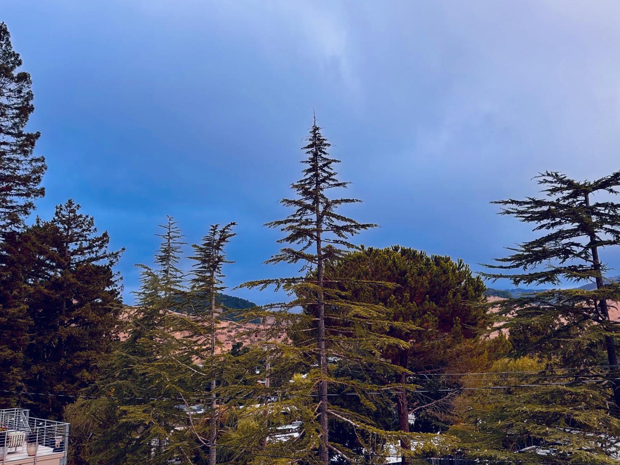 Luxury Suite With Views - San Rafael, Gateway To Sf & Wine Country Kültér fotó
