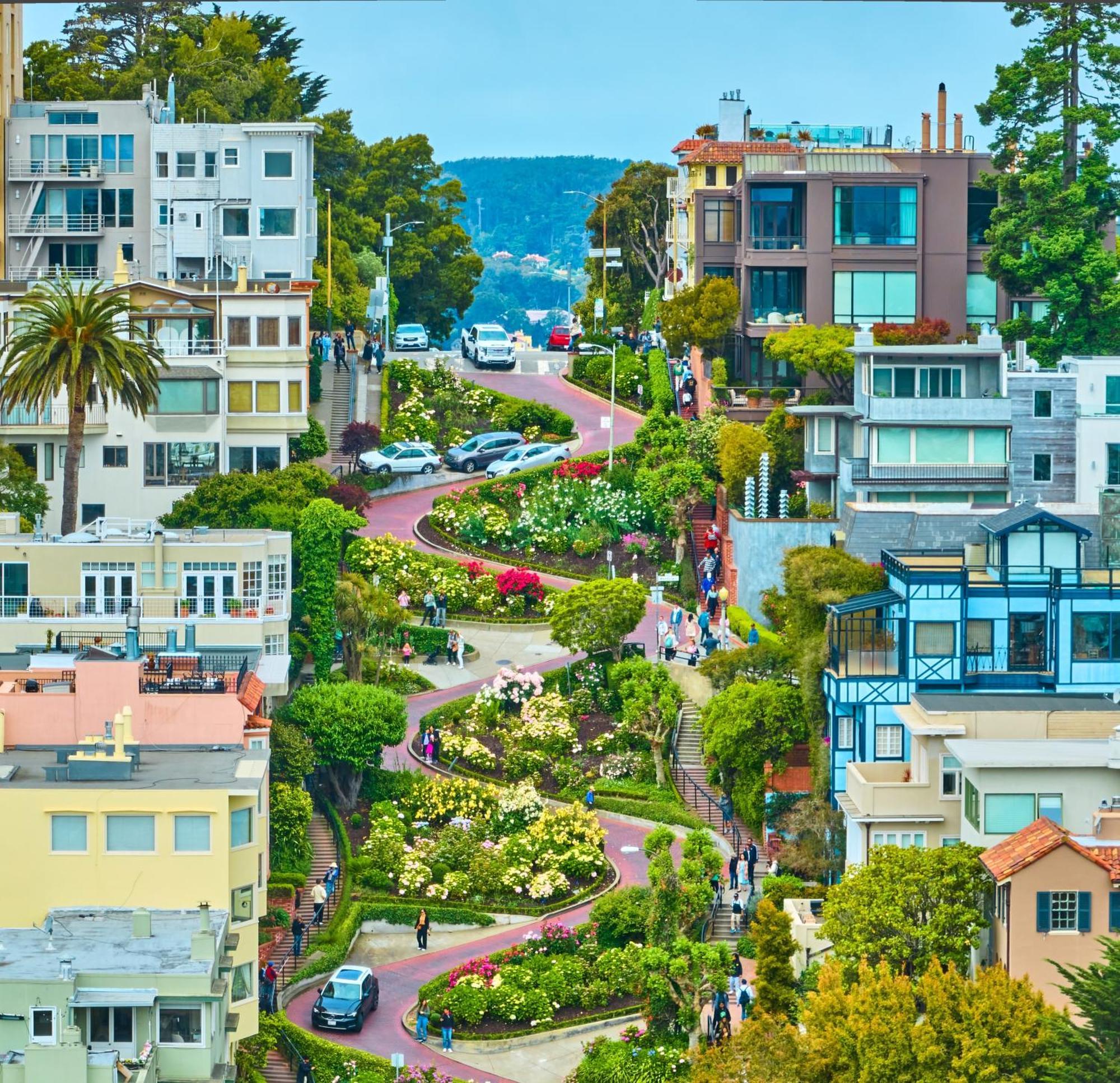 Luxury Suite With Views - San Rafael, Gateway To Sf & Wine Country Kültér fotó